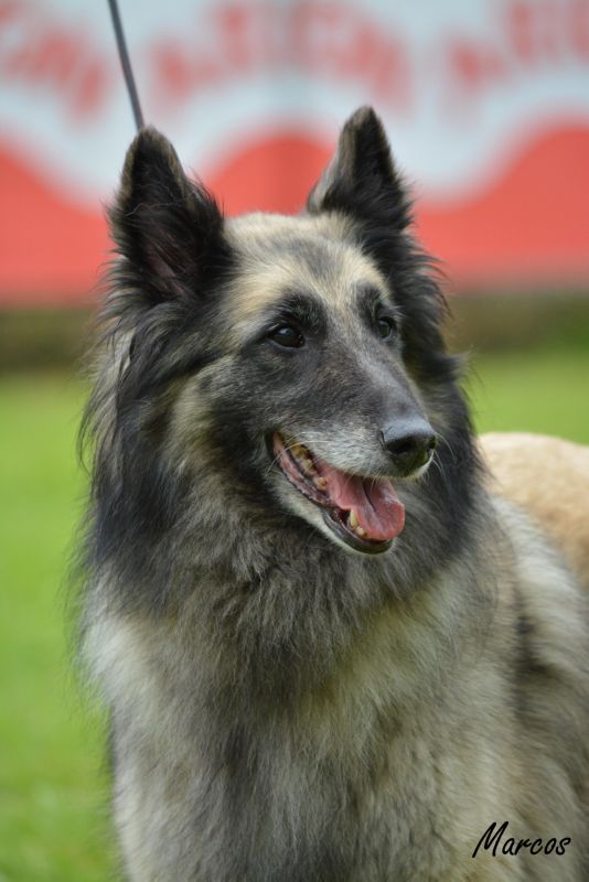 22-RE SS CHE CH CLUB.sr HEIDI D_AQUIVELT, RA